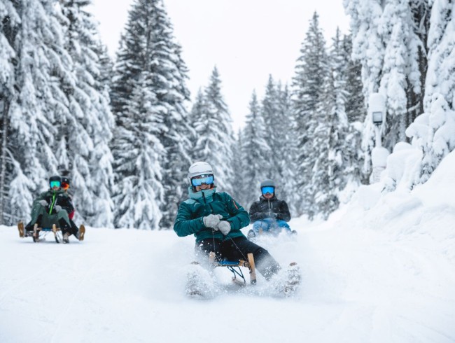 Lustige Rodelpartien auf teilweise beleuchteten Rodelstrecken &copy; Schladming-Dachstein_Math&auml;us Gartner