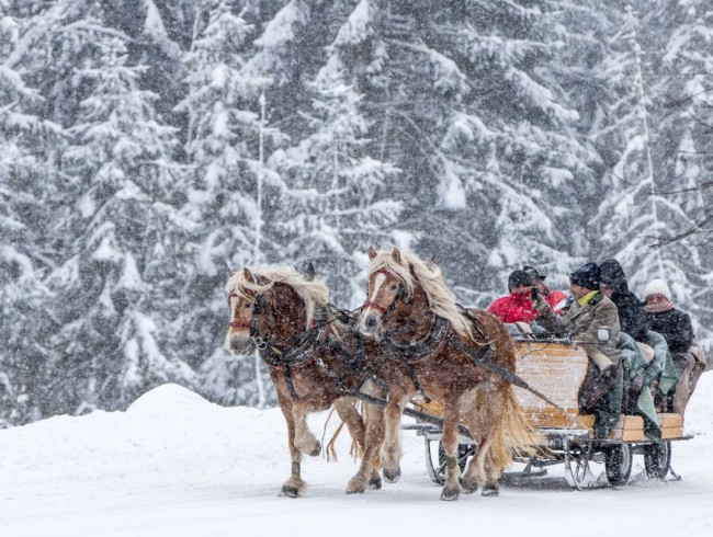 Romantische Pferdeschlittenfahrt durch die verschneite Winterlandschaft in Schladming-Dachstein &copy; Schladming-Dachstein_Martin Huber